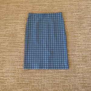 Ann Taylor Knee Length Pencil Skirt